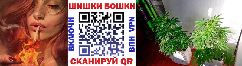 Шишки марихуана план  где можно купить наркотик  Ялуторовск 